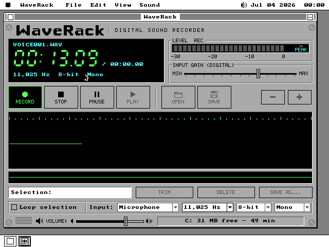 WaveRack recording. The RECORD key is lit green with a red dot, the meter reads LEVEL REC, the LCD reads VOICE001.WAV and 00:13.09 at 11,025 Hz 8-bit Mono, and a flat grey line runs across the left quarter of the waveform panel. The status bar reads C: 31 MB free - 49 min.