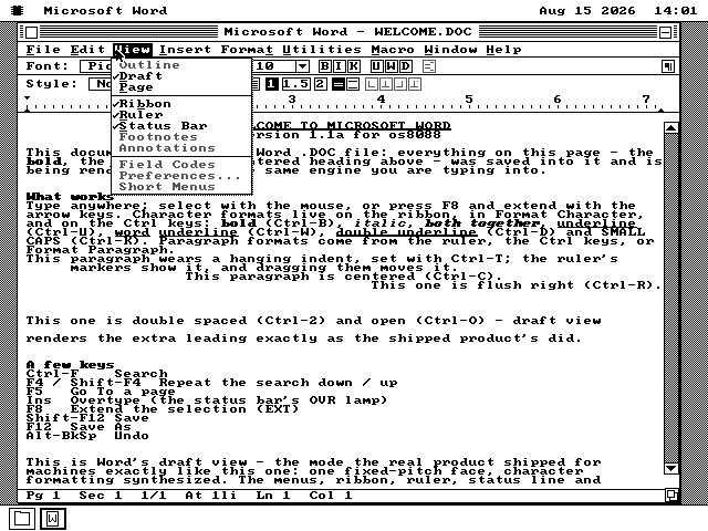 Word's View menu pulled down. Draft has a tick beside it. Page, Ribbon, Ruler and Status Bar are available. Outline, Footnotes, Annotations, Field Codes and Preferences are greyed out.